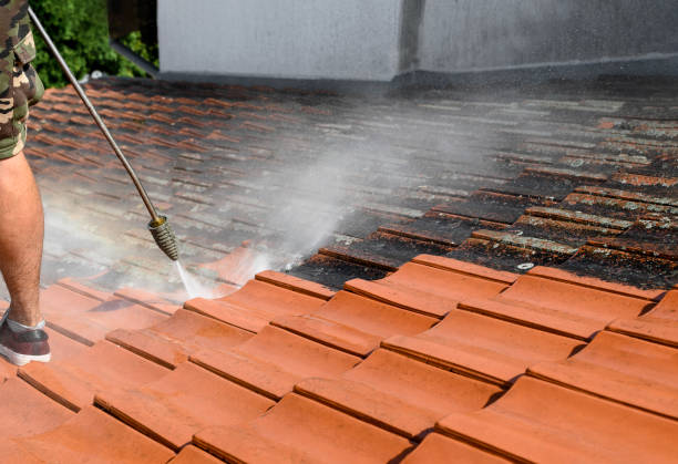 Best Exterior Home Cleaning  in One Loudoun, VA